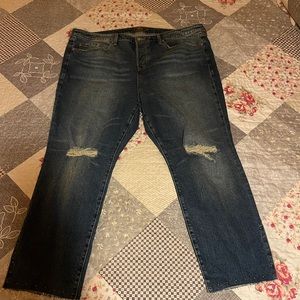 Womens, Torrid jeans, size 20 (NEW)